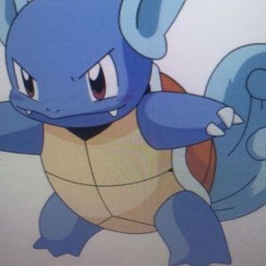 Meet your Posher, Elsie